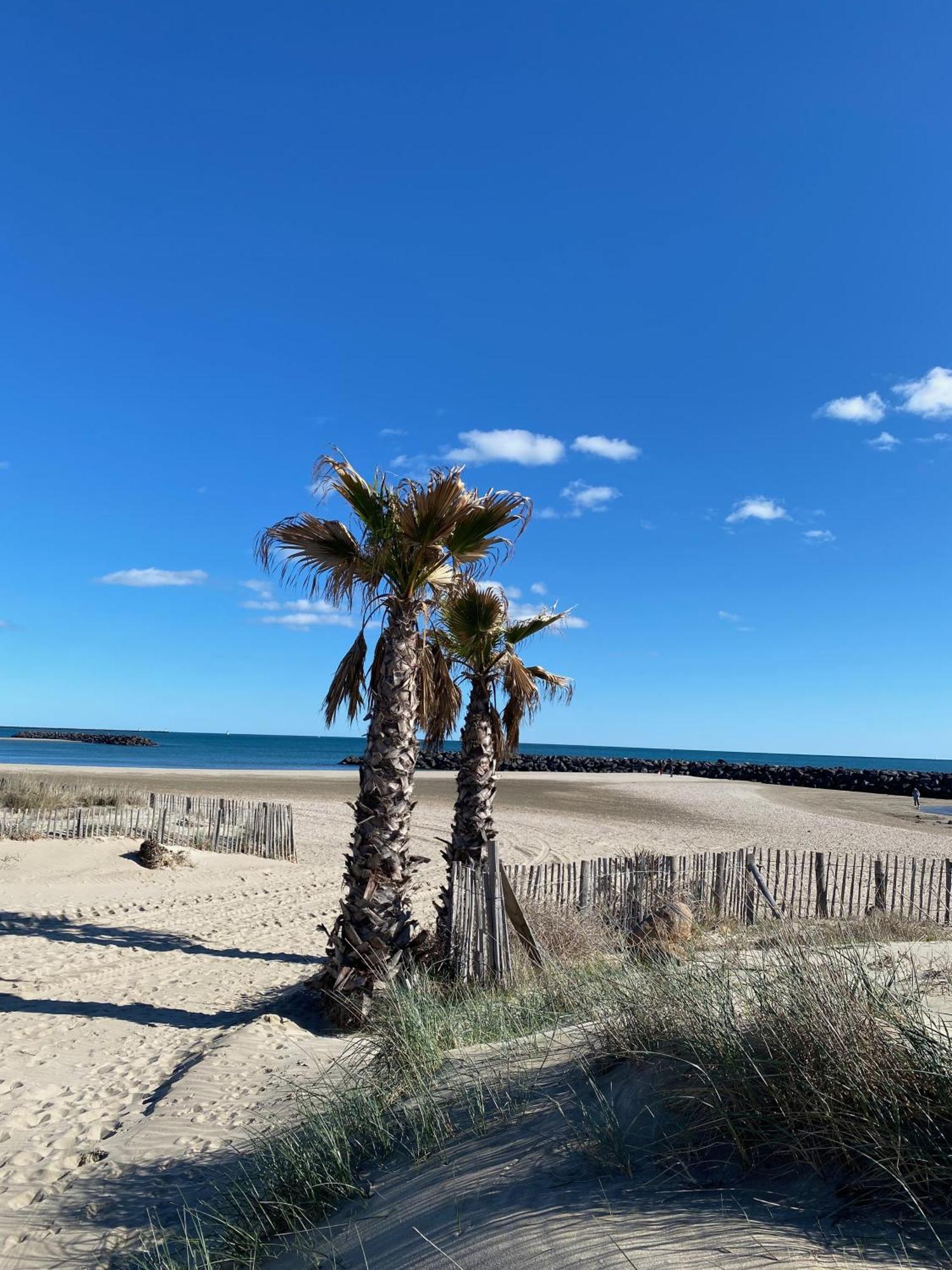 Appart - T3 - 6 Personnes - Golf Cap D'Agde Exterior photo